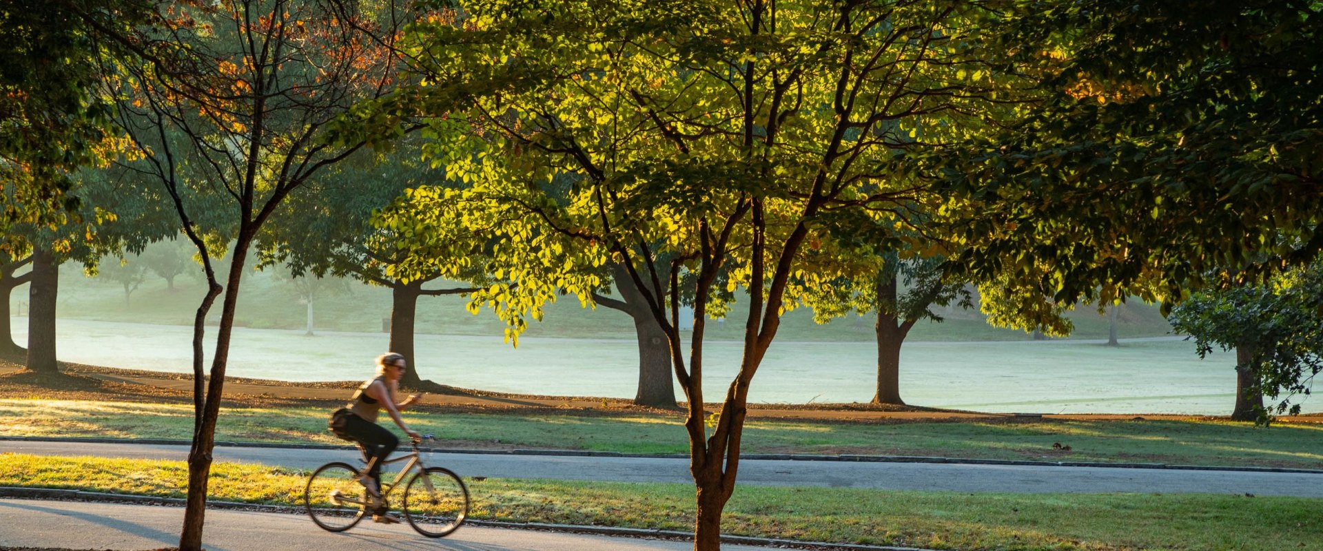 The Best Bike Shops in Hapeville, GA for Mountain Bikes