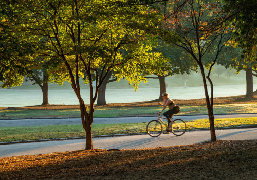 The Best Bike Shops in Hapeville, GA for Mountain Bikes